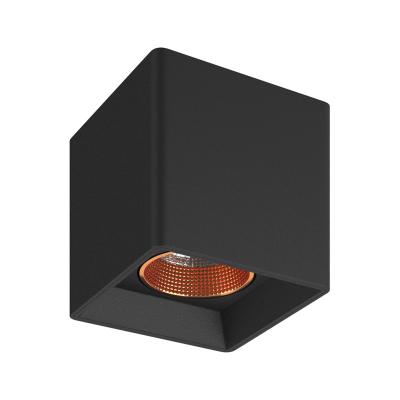 Фото Накладной точечный светильник Denkirs Rodvig DK3080-BBR