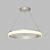 Подвесной светильник Denkirs Ring DK6670-SN