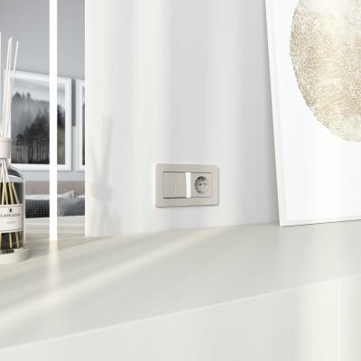 Фото Выключатель одноклавишный проходной с подсветкой Werkel W1212104 дымчатый