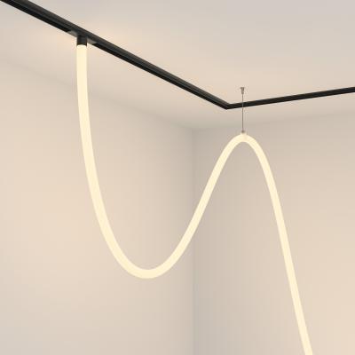 Фото Трековый подвесной светильник магнитный Maytoni Tau TR101-2-100W3K-B