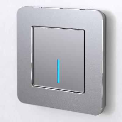 Фото Рамка из металла на 1 пост Werkel Platinum W0012606 алюминий