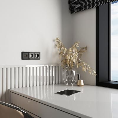 Фото Накладка для двойной розетки Еthernet RJ-45 Werkel W1191144 графит акрил