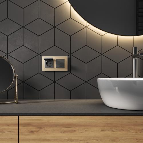 Фото Розетка влагозащищенная с защитной крышкой N Werkel W1171264 графит матовый