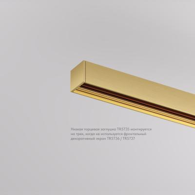 Фото Торцевая заглушка для трека Denkirs Shine Base TR5735-SB