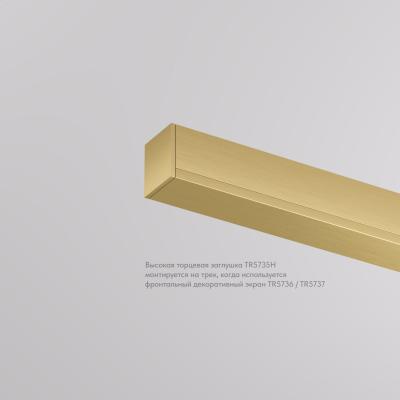 Фото Торцевая заглушка для трека Denkirs Shine Base TR5735H-SB