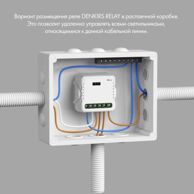 Фото Двухканальное Wi-Fi реле-выключатель Denkirs Relay RL1002-SM