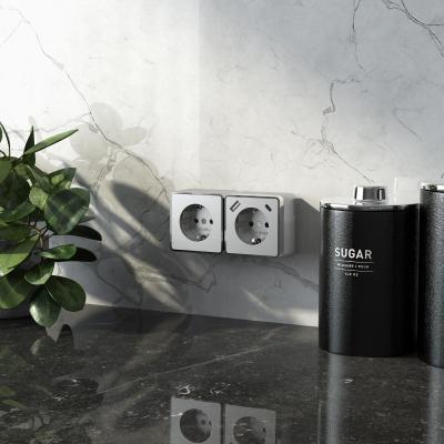 Фото Розетка с заземлением, шторками и USB тип A+C Werkel Gallant W5071706 серебряный