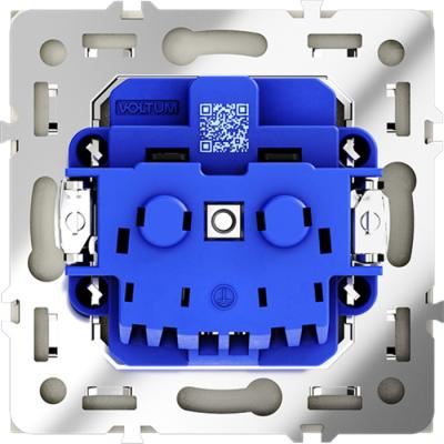 Фото Розетка встраиваемая с заземлением и защитными шторками Voltum S70, сталь, VLS040205