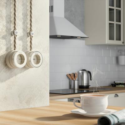 Фото Розетка с заземлением Werkel Vintage W5871055 слоновая кость матовый/хром