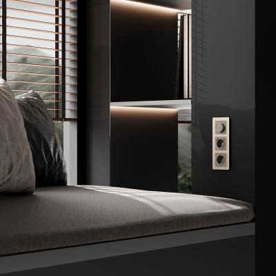 Фото Диммер Werkel W1142044 графит акрил