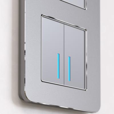 Фото Рамка из металла на 2 поста Werkel Platinum W0022606 алюминий