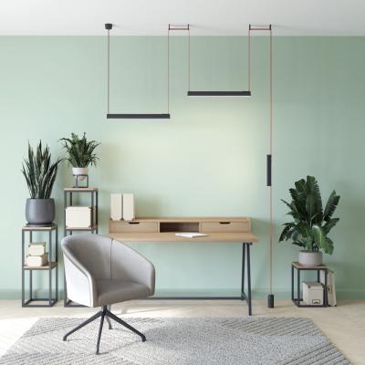 Фото Комплект ременной трековой системы Denkirs Belty Set DK55SET18-01-BR