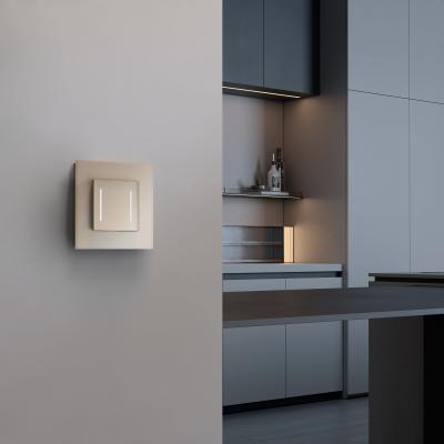 Фото Сенсорный выключатель двухклавишный с подсветкой Werkel W4522011 шампань