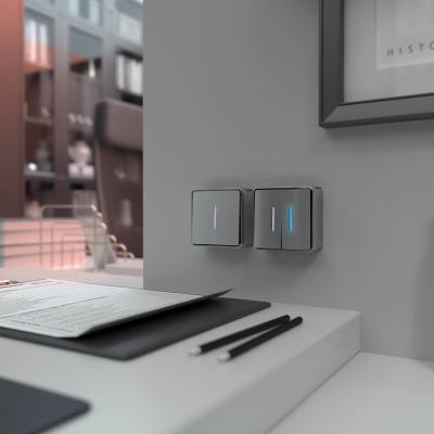 Фото Выключатель одноклавишный с подсветкой Werkel Gallant W5010106 серебряный