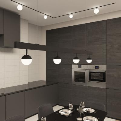 Фото Трековый светильник Denkirs Smart Moon DK8055-BK