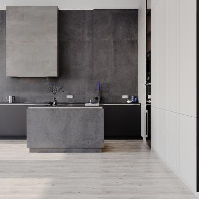 Фото Рамка пластиковая на 2 поста Voltum S70, сталь, VLS100205