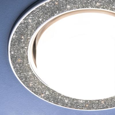 Фото Elektrostandard 1072 светильник встраиваемый серебряный блеск/хром