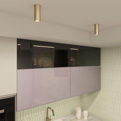 Фото Накладной точечный светильник Denkirs Tube DK2051-SG