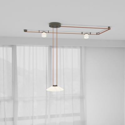 Фото Комплект ременной трековой системы Denkirs Belty Set DK55SET02-01-BR