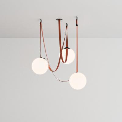 Фото Комплект ременной трековой системы Denkirs Belty Set DK55SET22-01-BR