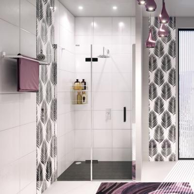 Фото WasserKraft Aller 10H05LBlack душевая дверь 120