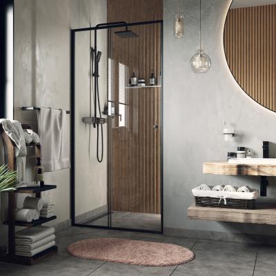 Фото WasserKraft Dill 61S05 душевая дверь