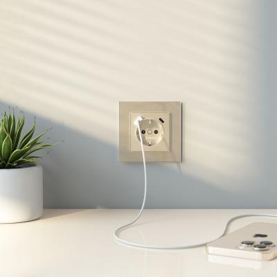 Фото Рамка из стекла на 1 пост Werkel Favorit W0011111 шампань