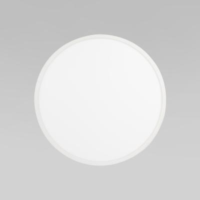 Фото Уличный потолочный светильник TK Lighting Aqua IP54 CCT+DIM 18797