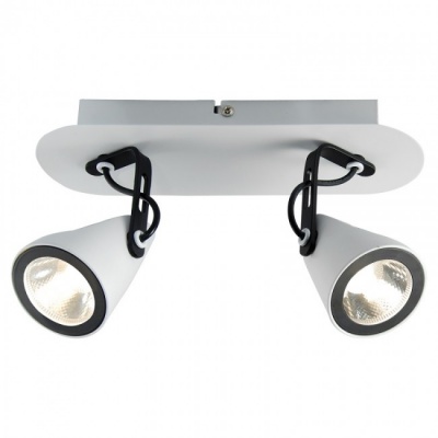 Светодиодный светильник Lussole Loft LSN-4101-02
