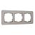 Рамка из стекла на 3 поста Werkel Elite W0032417 дымчатый