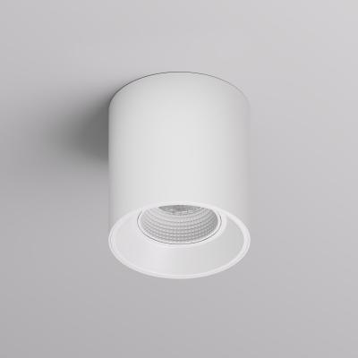 Фото Накладной точечный светильник Denkirs Rodvig DK3090-WH