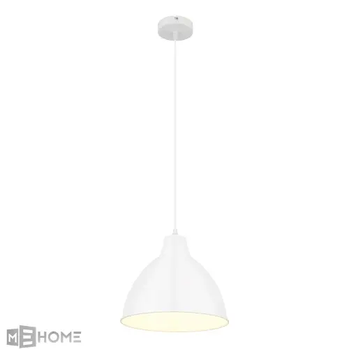 Фото Светильник подвесной Arte Lamp BRACCIO A2055SP-1WH