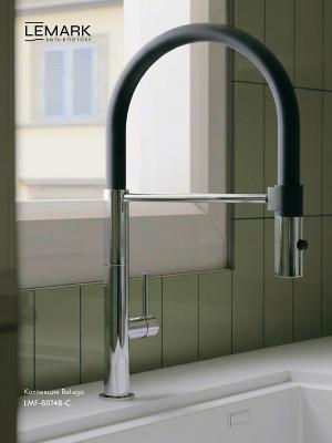 Фото Смеситель для кухни с гибким изливом Lemark Beluga LMF-8074B-C, хром