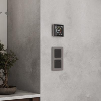 Фото Умный сенсорный терморегулятор с LCD дисплеем Werkel W1851104 дымчатый