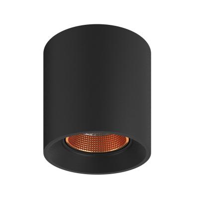 Фото Накладной точечный светильник Denkirs Rodvig DK3090-BBR