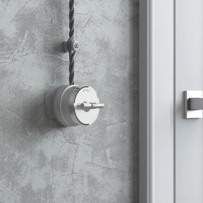 Фото Переключатель/выключатель одноклавишный накладной Werkel Vintage W5812054 серебро матовый/хром